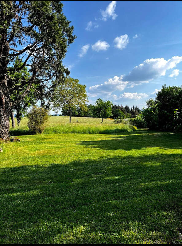 Maison 87m2 8300m2 de terrain plus dépendances - photo 8