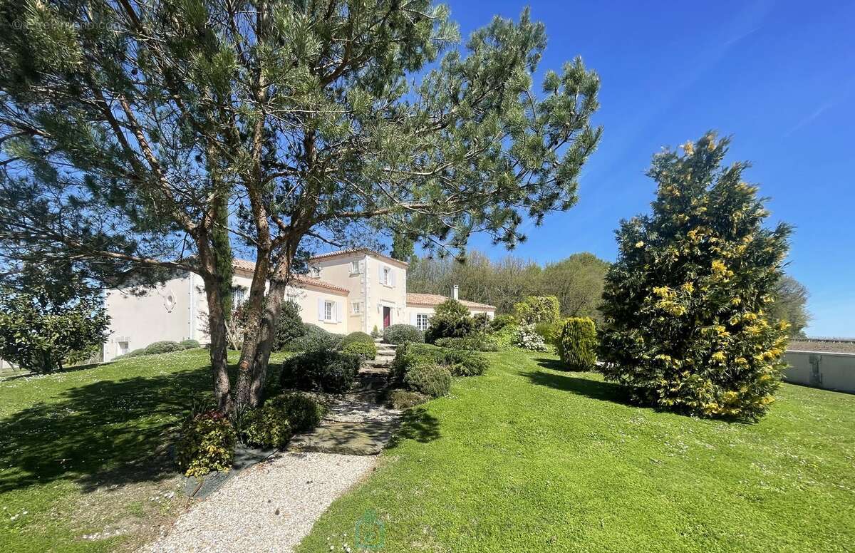 Maison d'architecte et gite avec un parc arbore de + de 4000 m² - photo 2