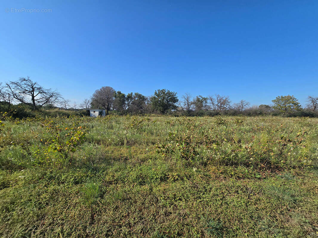 Terrain à ARGELES-SUR-MER
