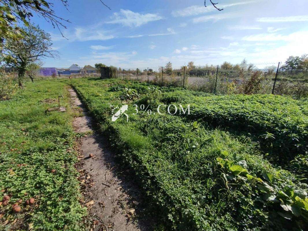 Terrain à EINVILLE-AU-JARD