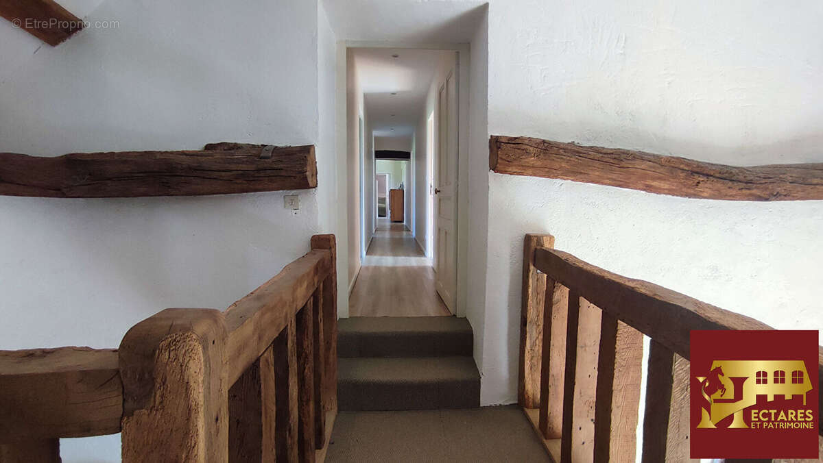 Propriété avec gîte et 3,6 ha - photo 7