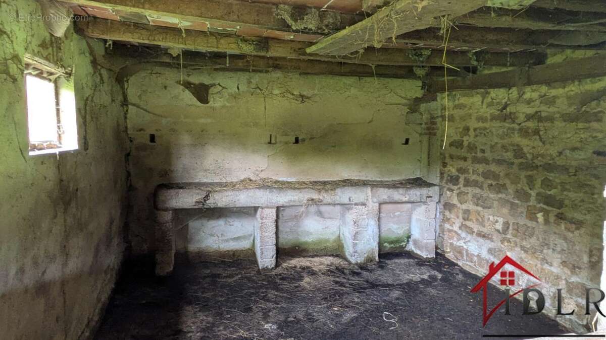 maison à rénover avec 13 000m2 terrain - photo 25