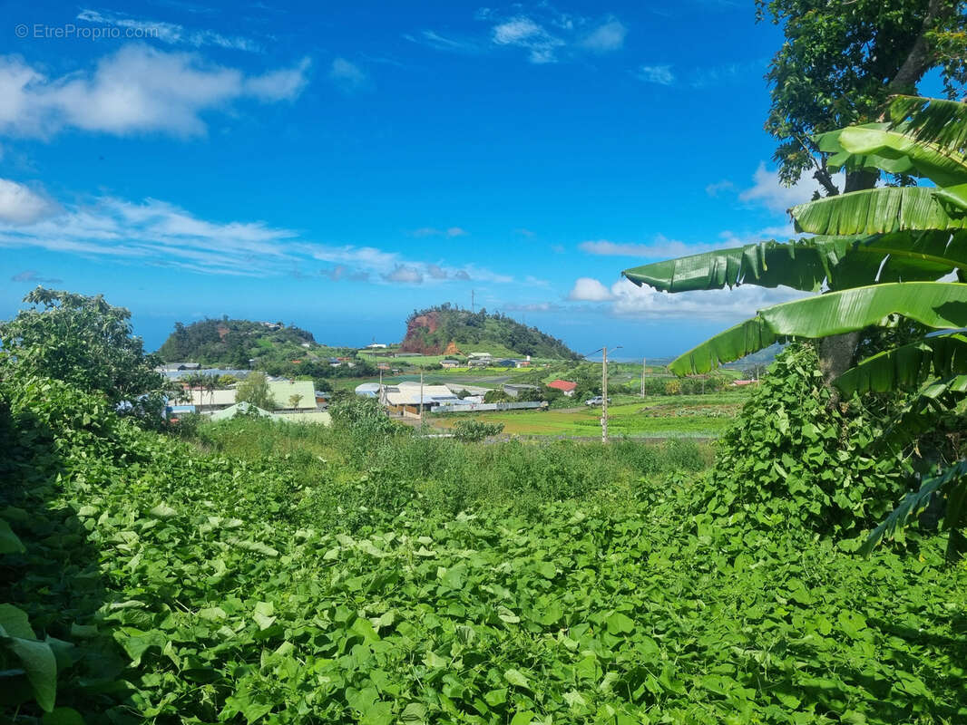 Terrain à SAINT-PIERRE
