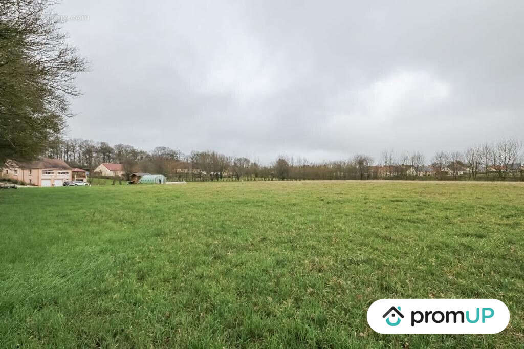 Terrain à CHAILLOUE