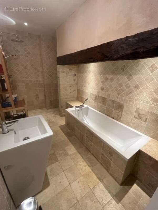Dpt  (32) : ELEGANT CHATEAU XIX, sans travaux, bases médievales avec douves, piscine, sur 9100m2 jardin clos - photo 40