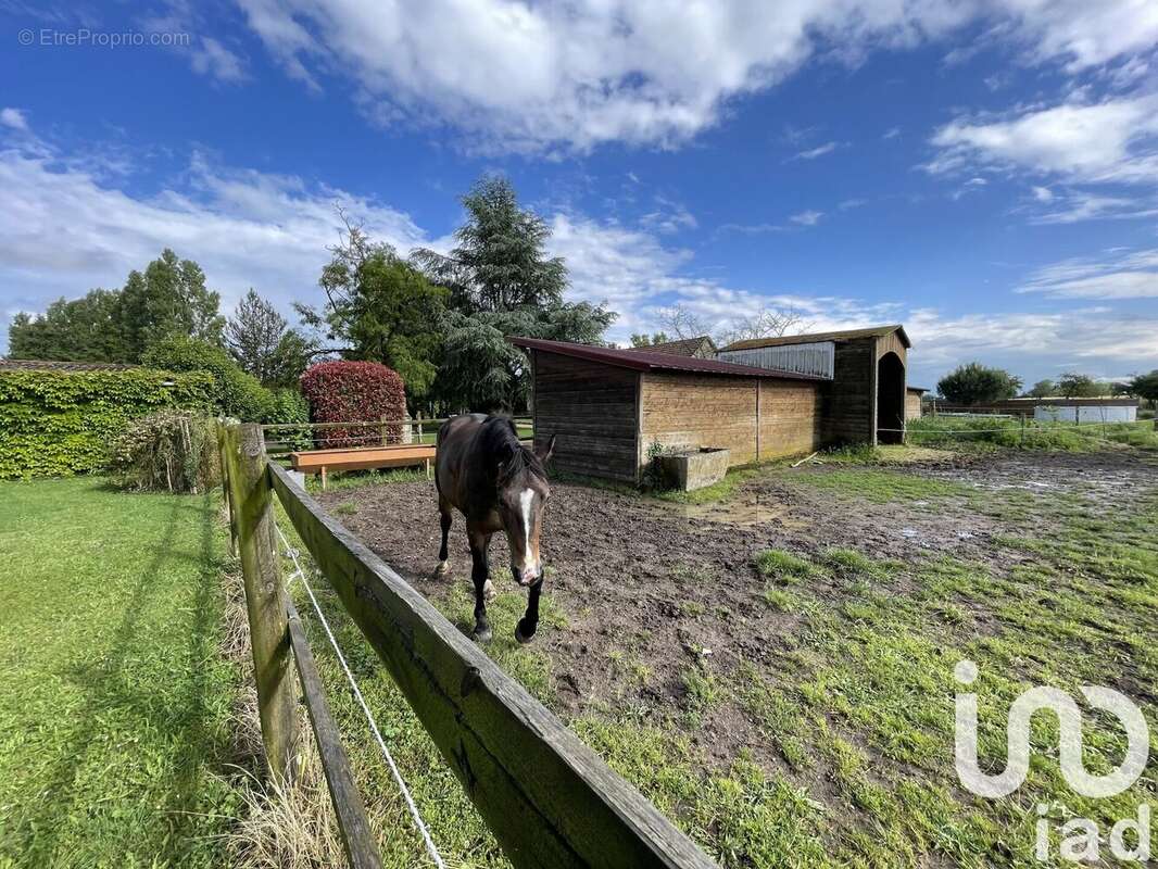 Photo 8 - Maison à SAINT-SAVIN