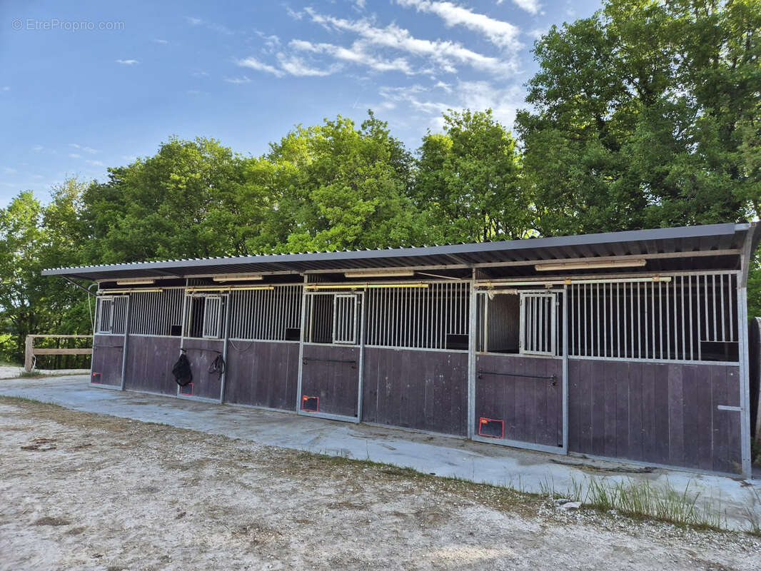 Commerce à VILLENEUVE-SUR-LOT
