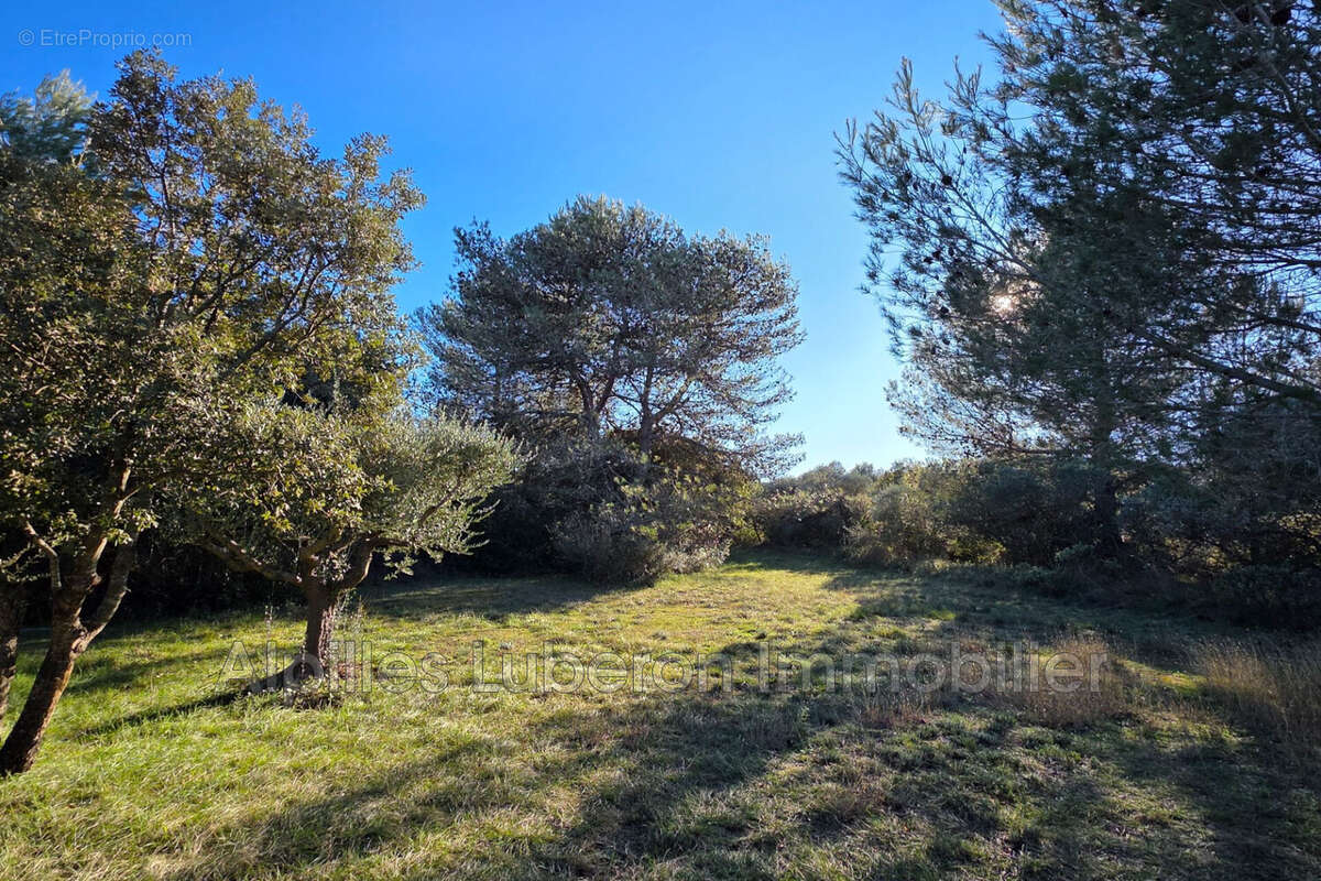 Terrain à EYGALIERES