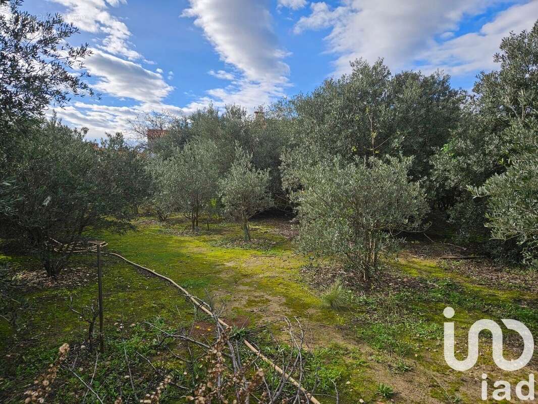Photo 2 - Terrain à PERPIGNAN