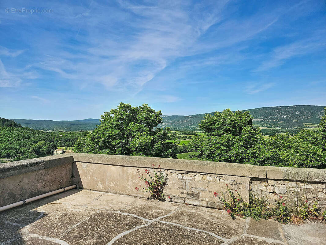 Maison de Maître à Sault, 10 pièces, 246m² avec terrasse - photo 3
