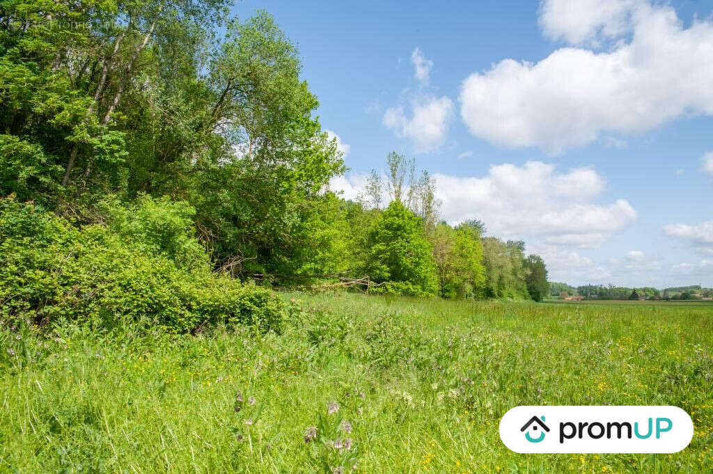 Terrain à CHIRY-OURSCAMP