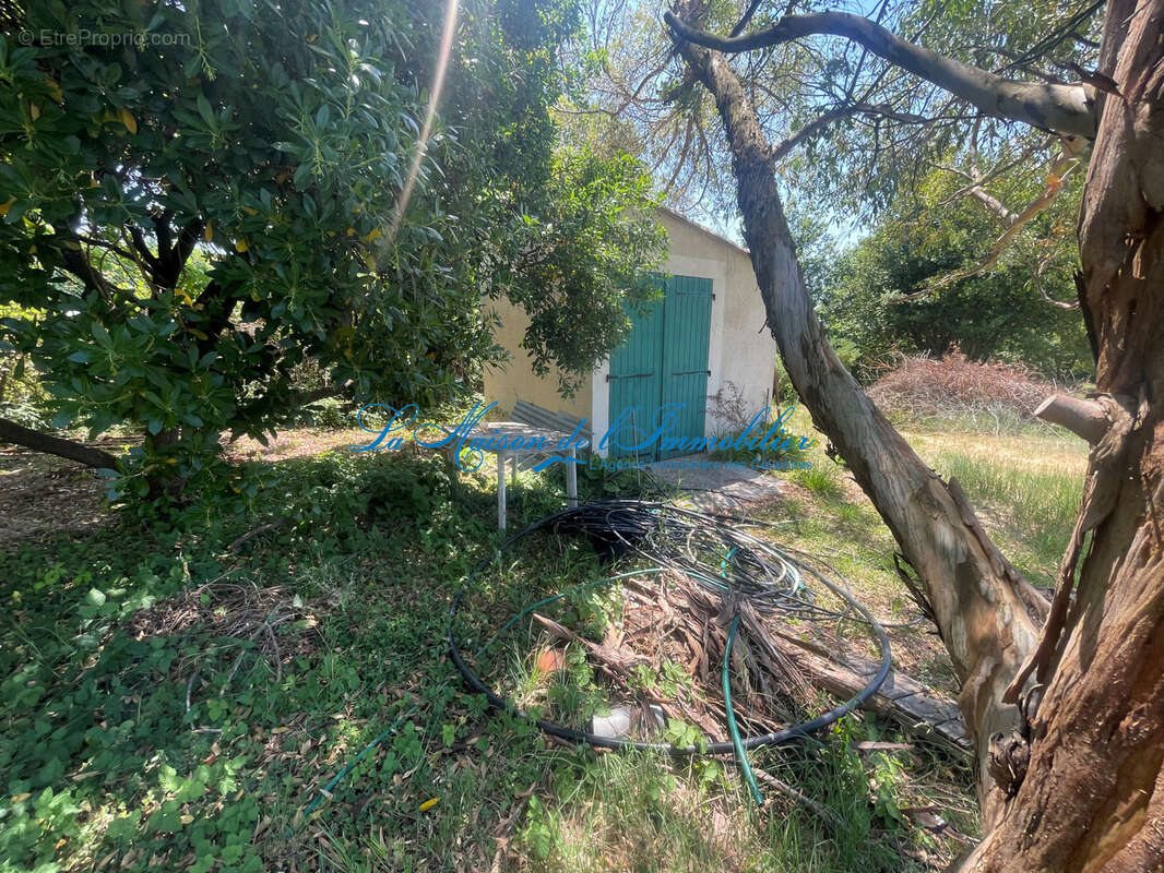 MASSANES, villa de plain F3 avec garage et terrasse sur 3465 m2 de terrain plat avec vue dégagée - photo 3