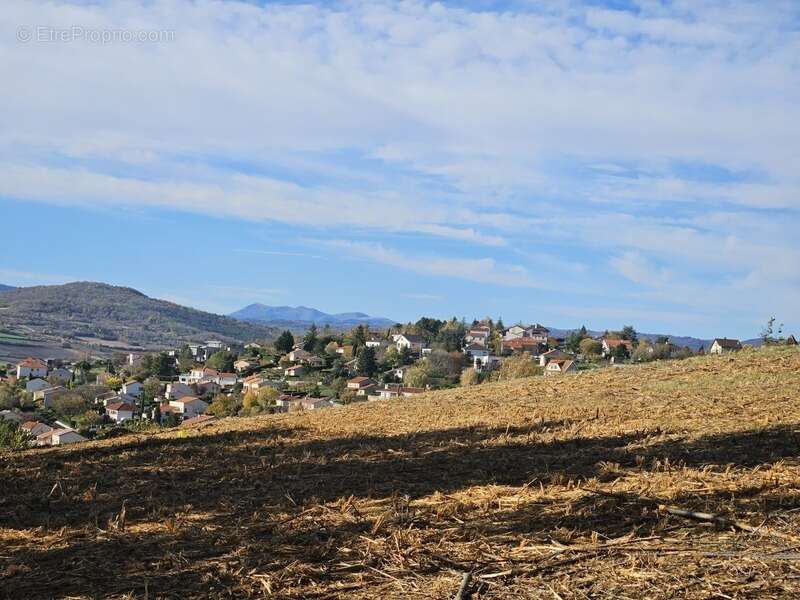 Terrain à VEYRE-MONTON