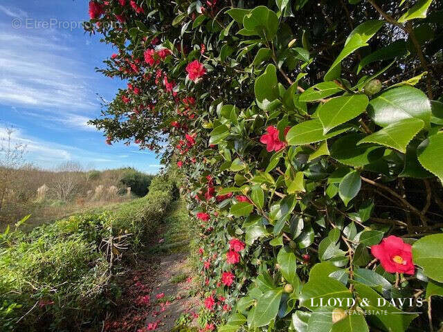 Maison à SALIES-DE-BEARN
