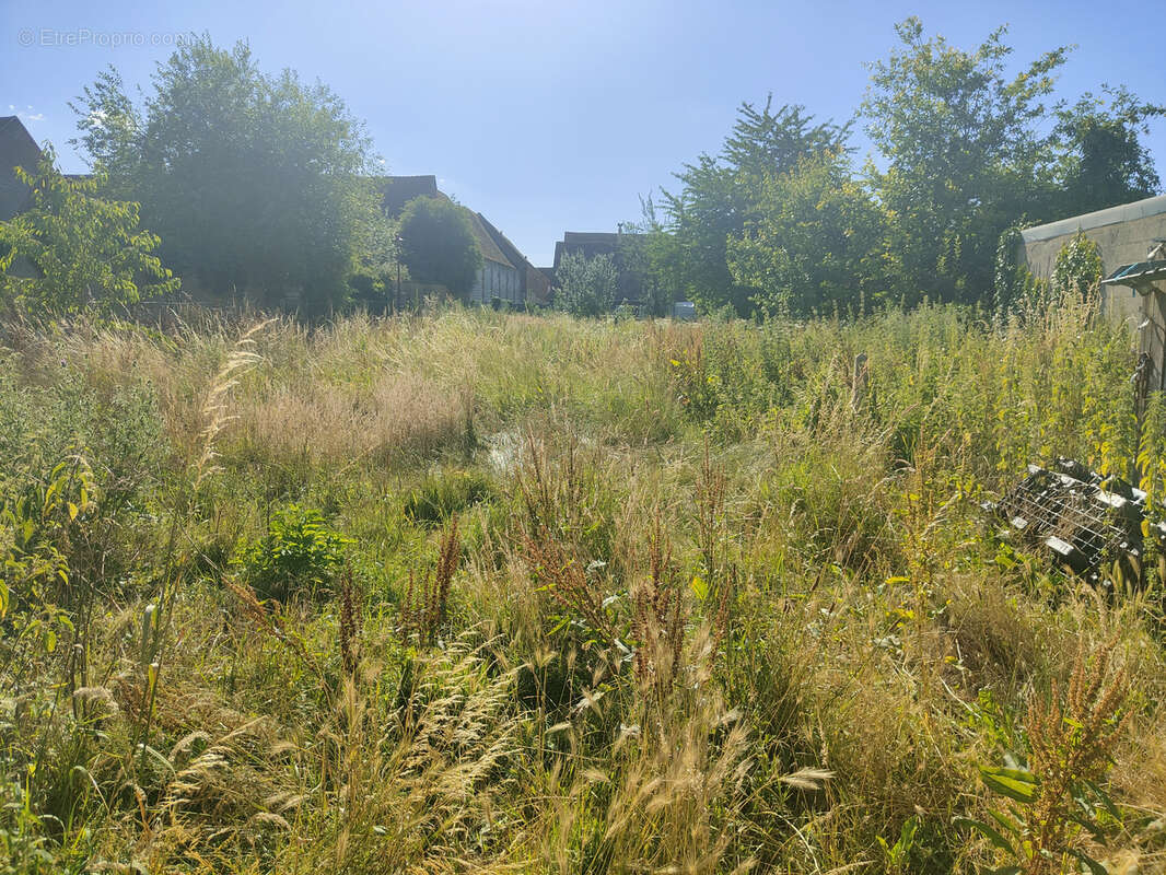 Terrain à GOINCOURT