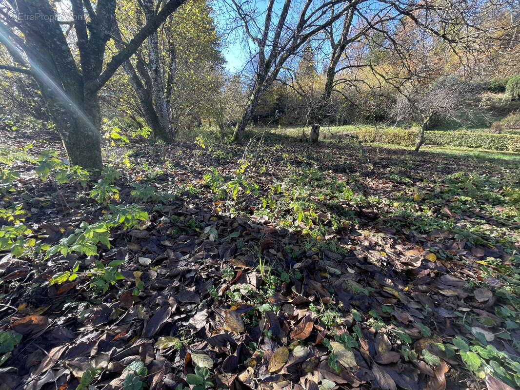 Terrain à PLANCHER-BAS