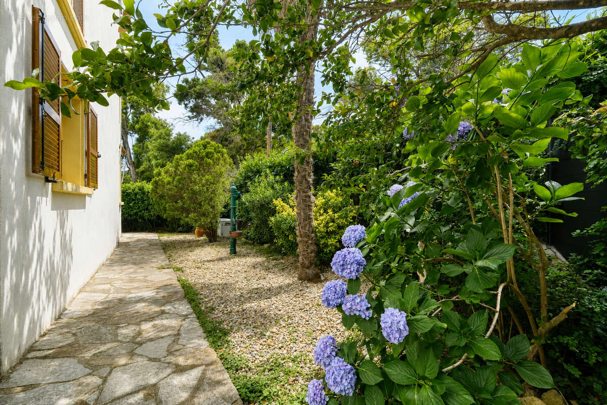Maison 145m² à santa-maria-di-lota - photo 18