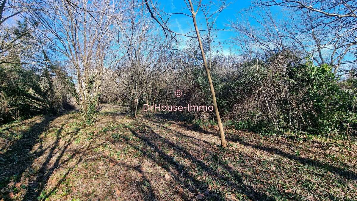 Commerce à JONQUIERES