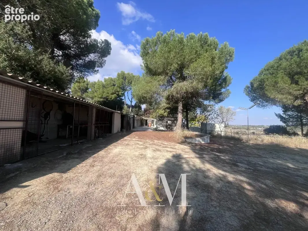 Mas 145 m² / 4262 m² - photo 18