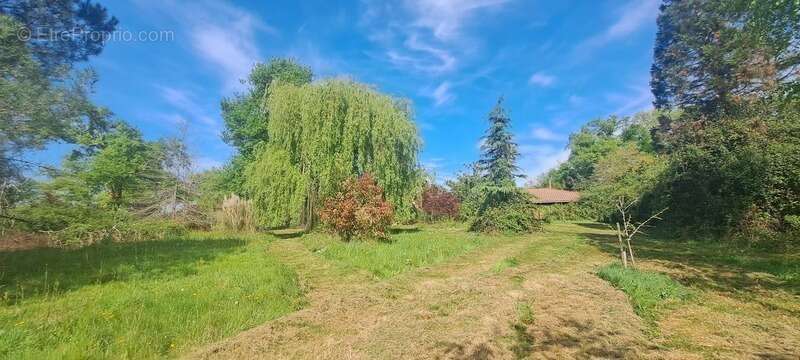 Maison à SAINTE-CHRISTIE-D&#039;ARMAGNAC