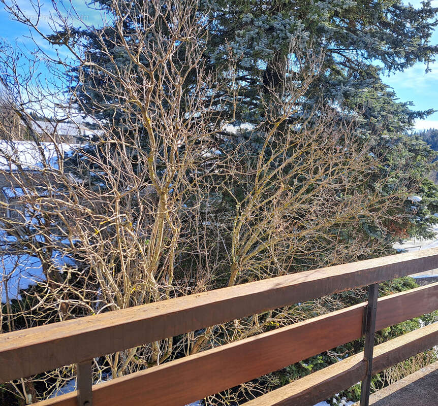 Maison à LE CHAMBON-SUR-LIGNON