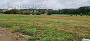 Terrain à CHAUX-LA-LOTIERE
