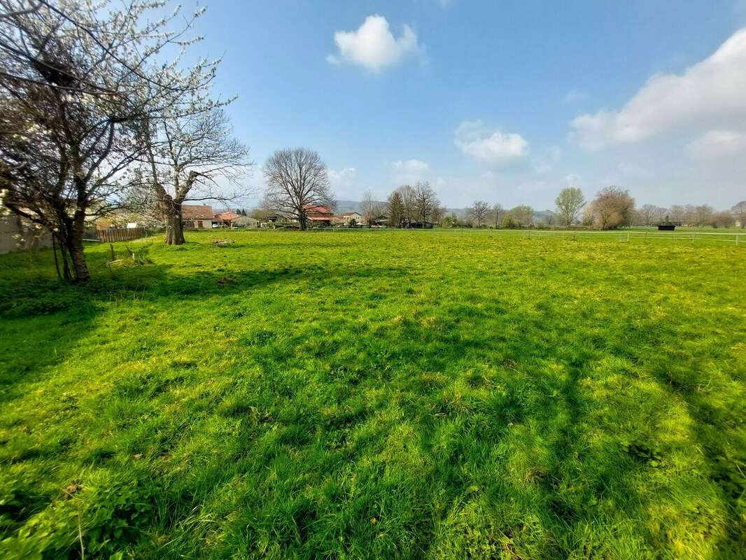 20260323110212 - Maison à SAINT-GIRONS