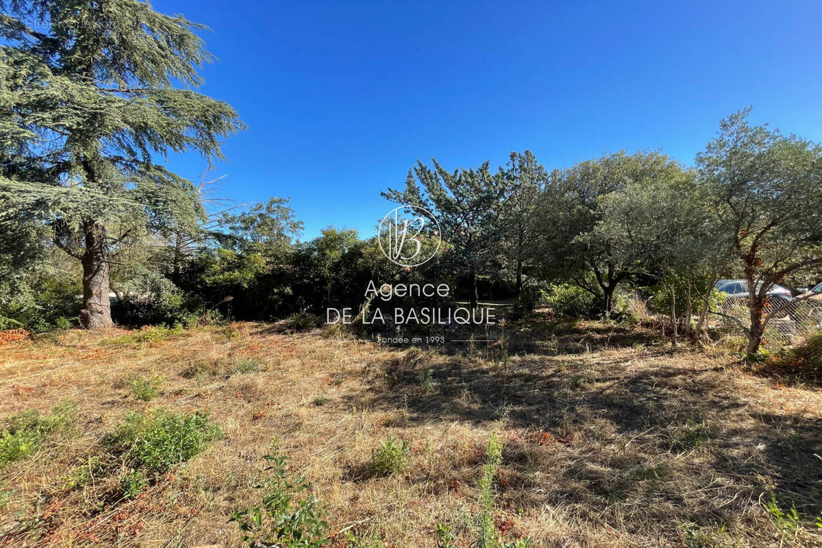 Terrain à SAINT-MAXIMIN-LA-SAINTE-BAUME