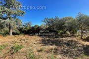 Terrain à SAINT-MAXIMIN-LA-SAINTE-BAUME