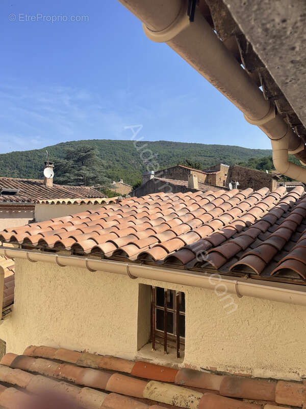 Maison avec terrasse - photo 14
