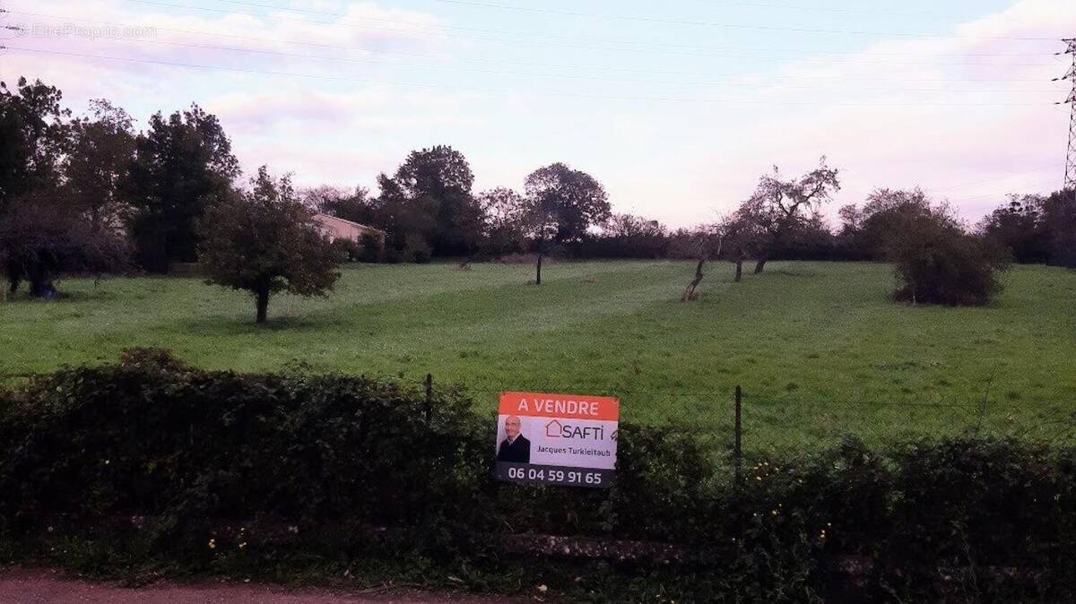 Photo 1 - Terrain à SAINTES