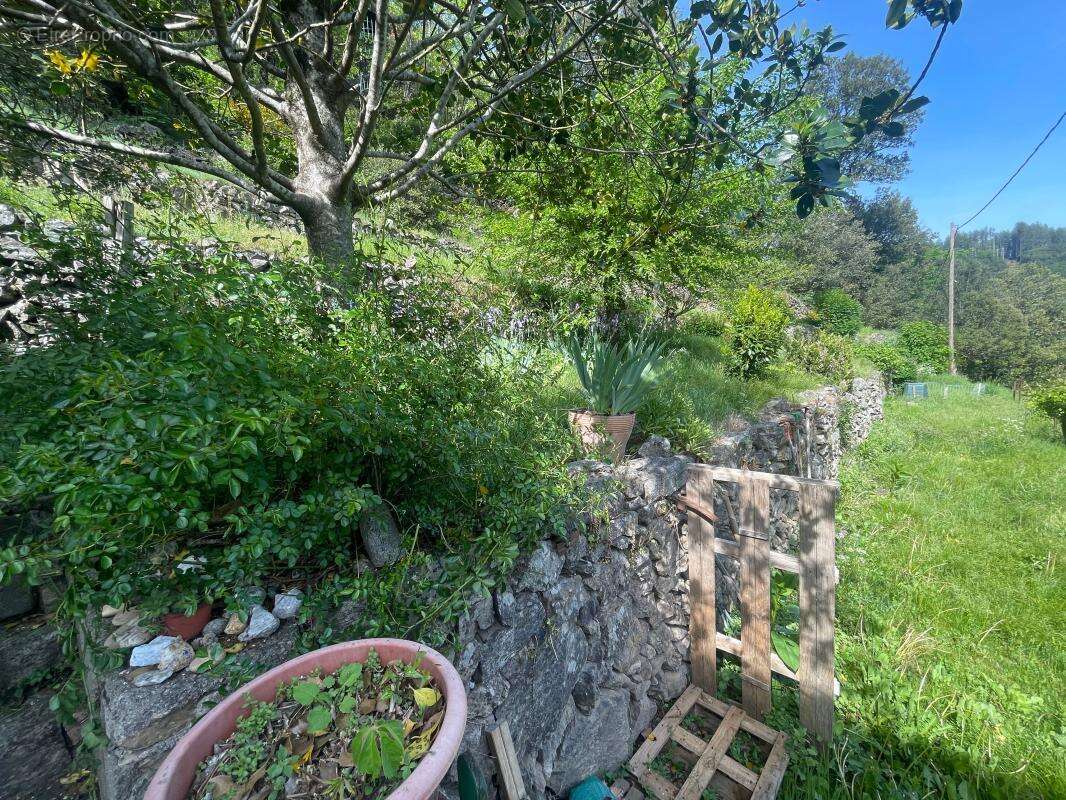 Maison 169 m² à Rocles  - photo 6