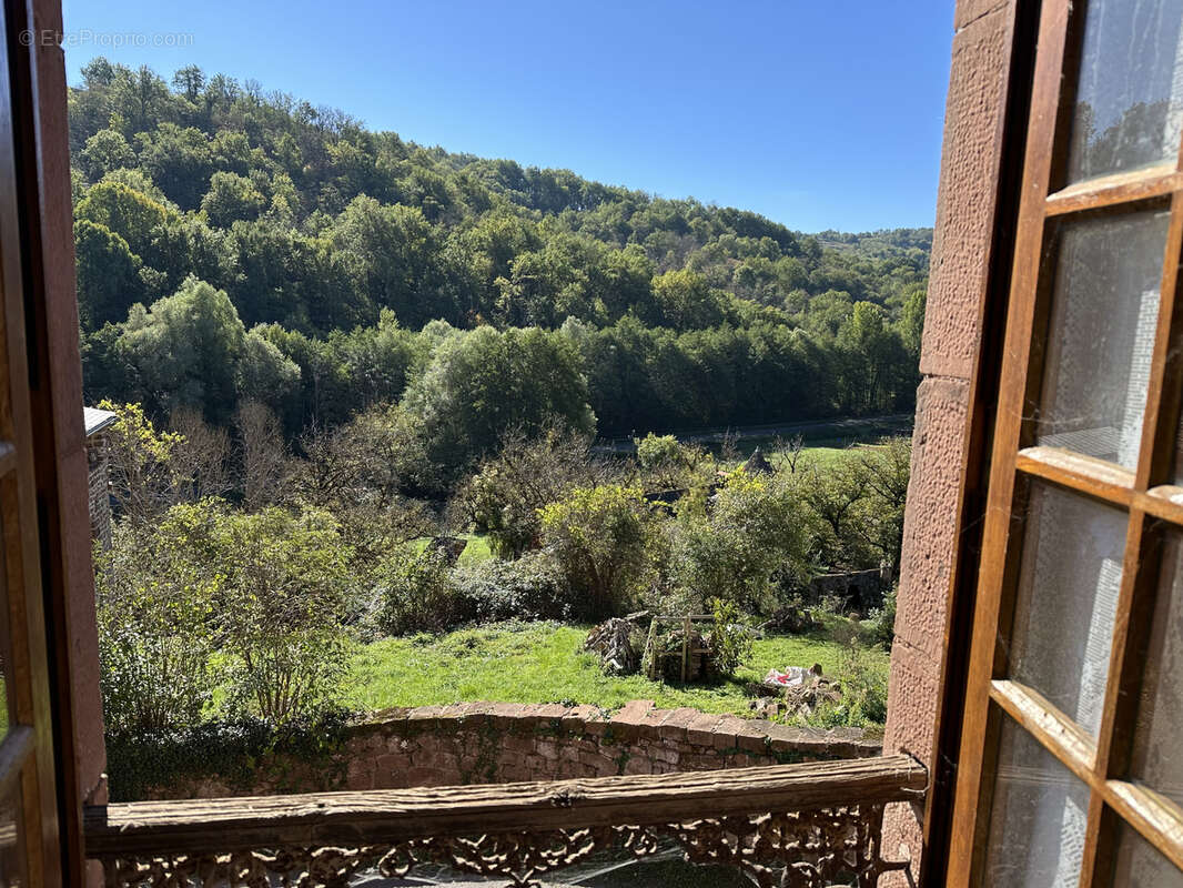 Maison à SAINT-CYPRIEN-SUR-DOURDOU