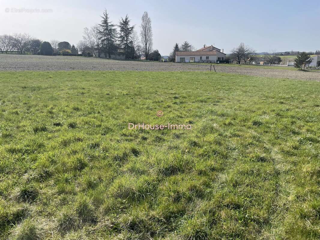 Terrain à VILLEBOIS-LAVALETTE