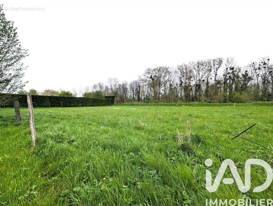 Photo 1 - Terrain à JAUX