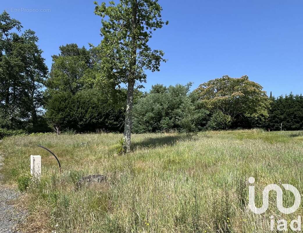 Photo 2 - Terrain à LA BREDE