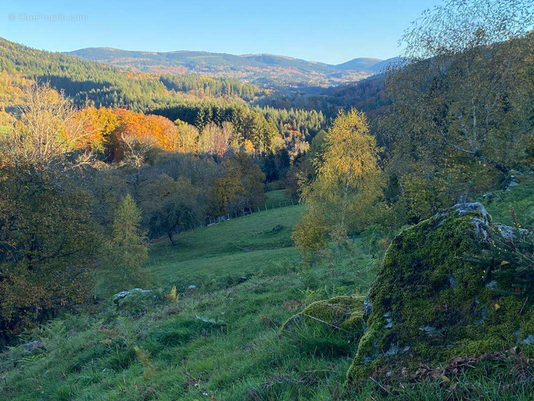 Corps de ferme 6 pièce(s) 350 m2 environ + terrain 27ha avec sources + dépendances - photo 14