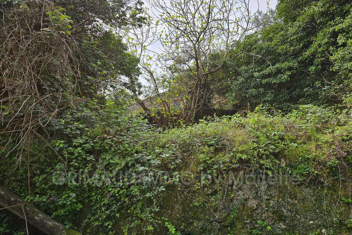 Maison à LA GARDE-FREINET