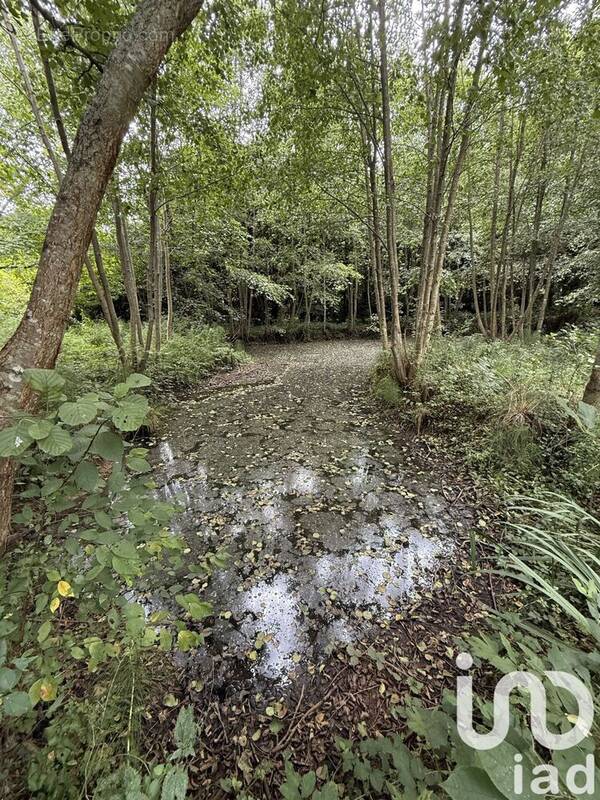 Photo 1 - Terrain à VAILLY-SUR-AISNE