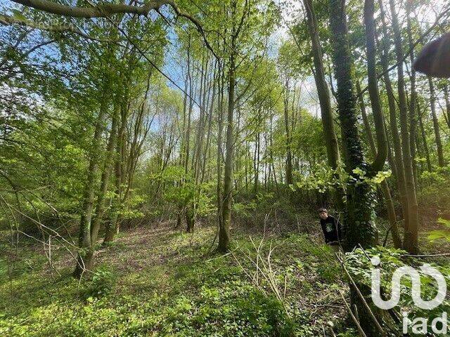 Photo 1 - Terrain à AUCHEL