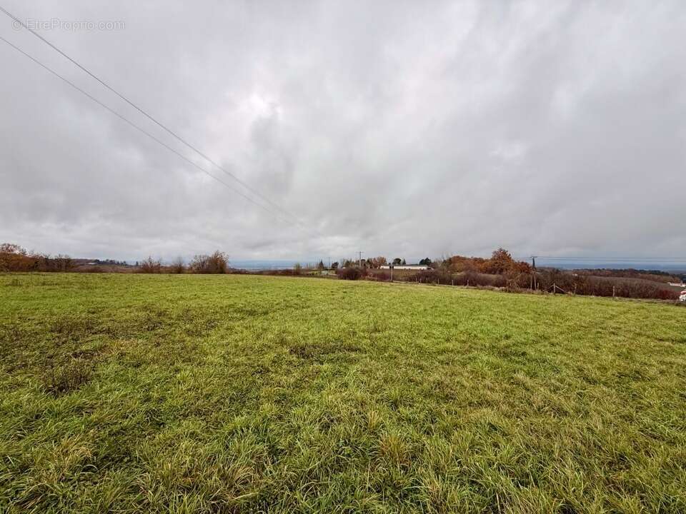 Terrain à COLOMBIER