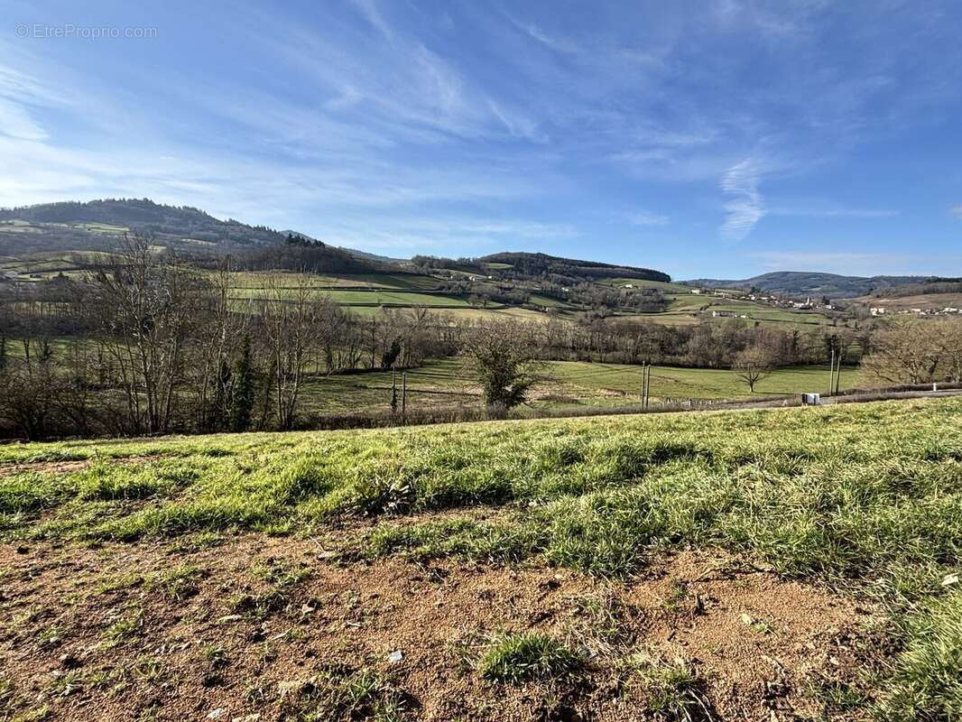 Terrain à LES ARDILLATS