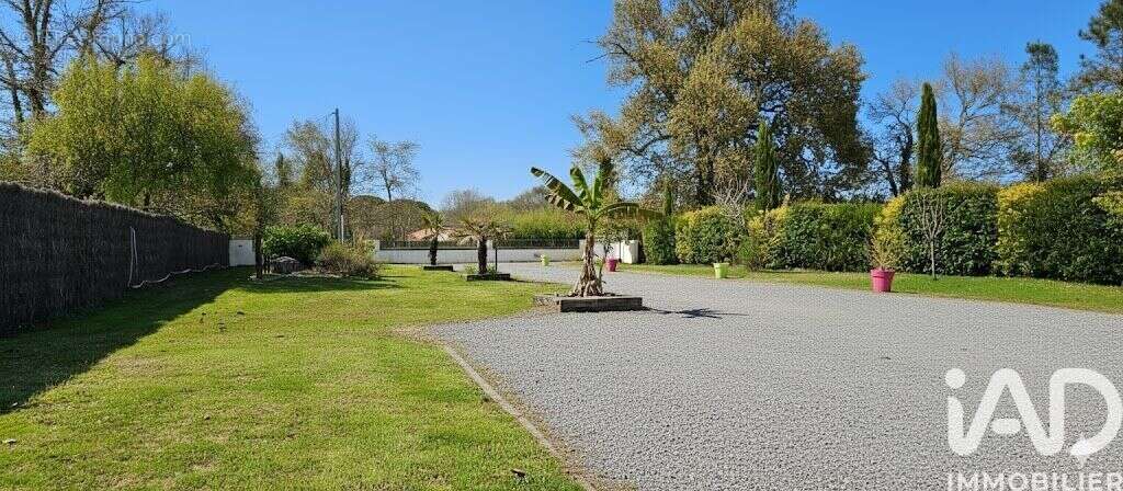 Photo 6 - Maison à SAUGNACQ-ET-MURET