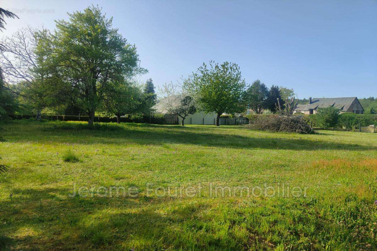 vente terrain - photo 4