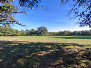 Terrain à SEREILHAC