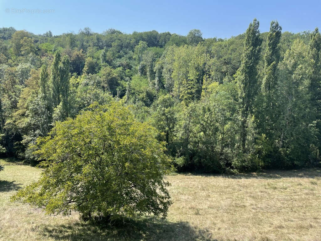 A 15 mn d'Objat, 5 mn d'Ayen, 20 mn Terrasson et 30 mn de Brive, Proche Perpezac Le Blanc centre bourg - photo 33