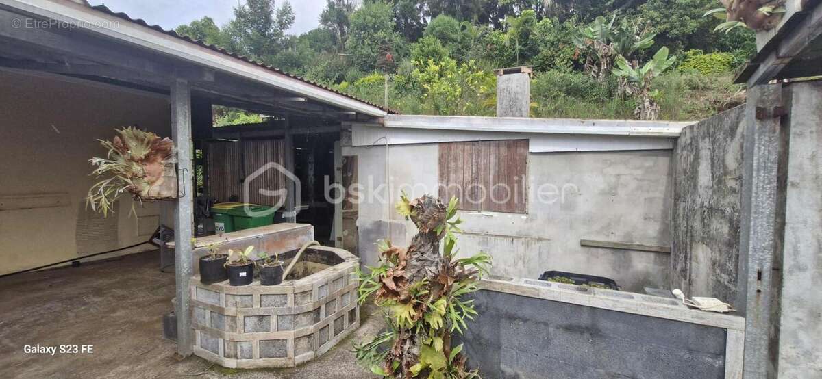 Maison à PETITE-ILE