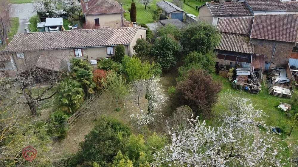 Terrain à L&#039;ISLE-EN-DODON