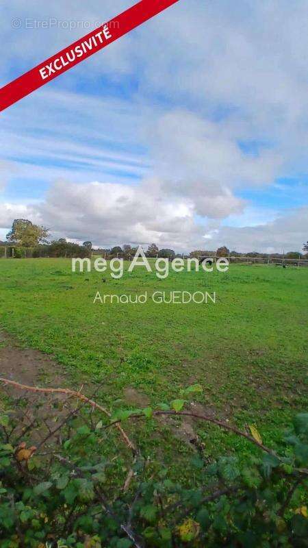 Maison à SAINT-VINCENT-DES-LANDES