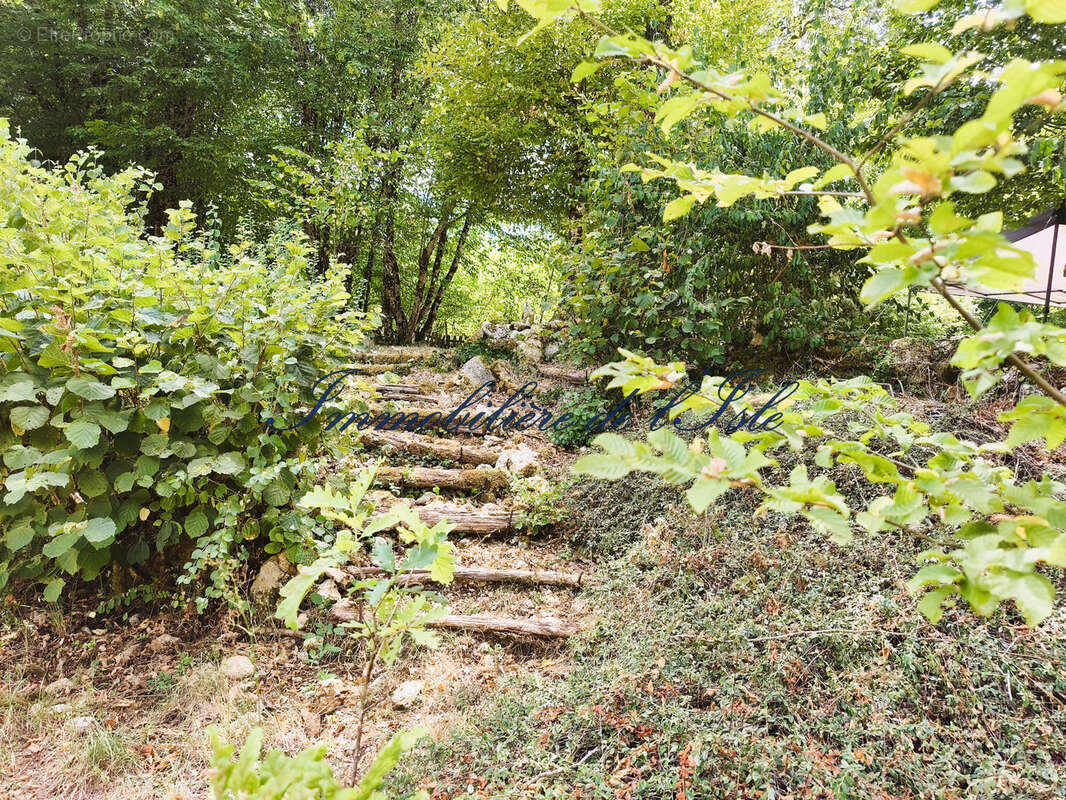 Campagne perigourdine, maison en pierre + gite sur 8000 m2 - photo 20